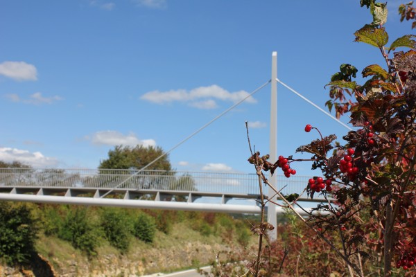 Vue de la passerelle des Clavières à Boncourt